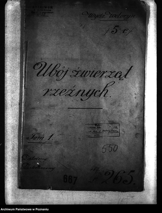 Obraz 4 z jednostki "Ubój zwierząt rzeźnych"