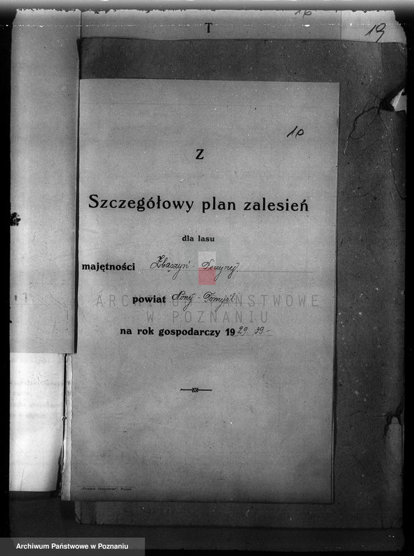 Obraz 14 z jednostki "Plan urządzenia gospodarstwa leśnego dla lasu majętności Zbąszyn-Perzyny powiat nowotomyski 1929-1939"