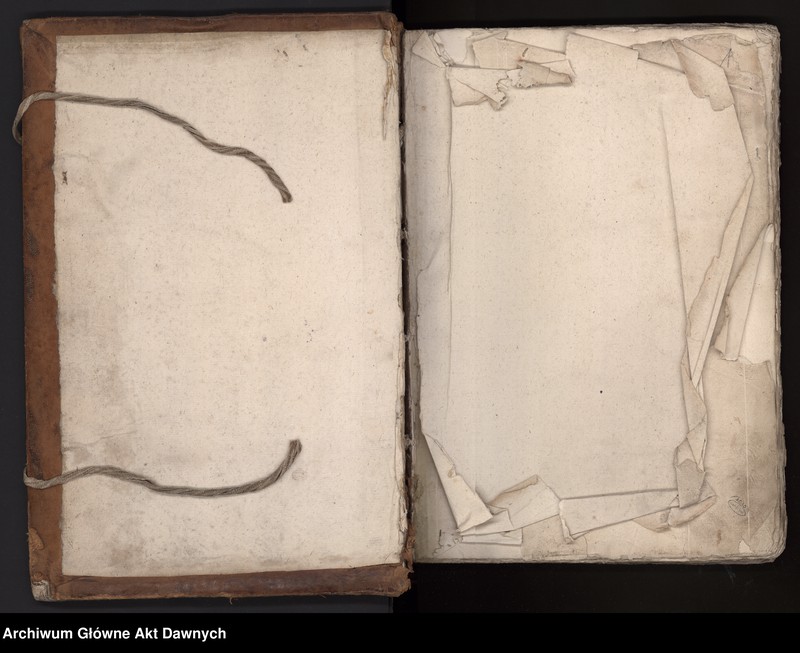 image.from.unit.number "Rejestry poborowe woj. ruskiego."