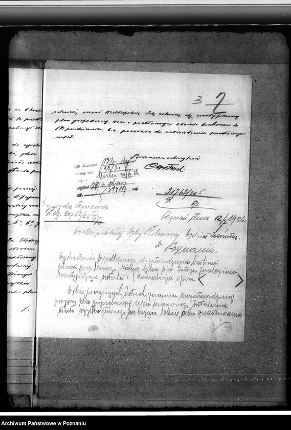 Obraz 7 z jednostki "Majętność leśna Łąka Wielka"