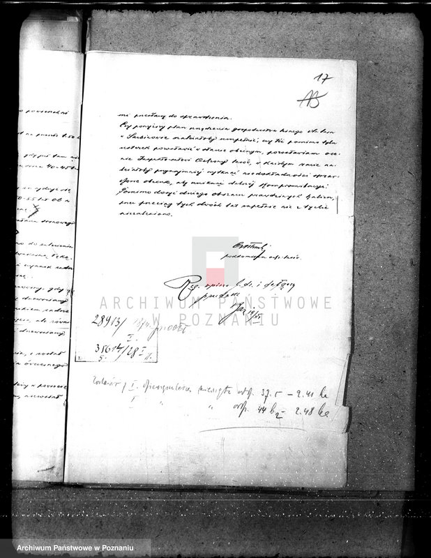 Obraz 20 z jednostki "Majętność leśna Sarbinowo w powiecie gostyńskim"