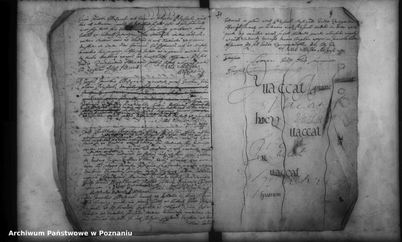 Obraz 11 z jednostki "Inscriptiones, (resignationes) [protocollon]"