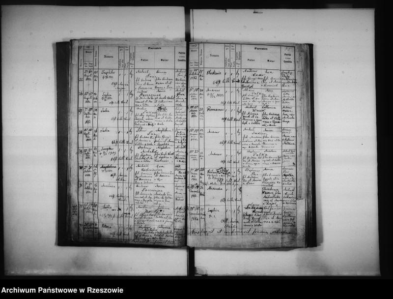 image.from.unit.number "Księga urodzeń Biała, Matysówka, Zalesie Drabinianka, Rzeszów, Tyczyn"