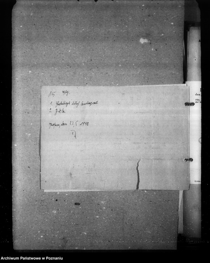 Obraz 19 z jednostki "Saatenstand und Ernte"