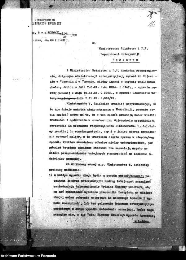 Obraz 14 z jednostki "Weterynaria"