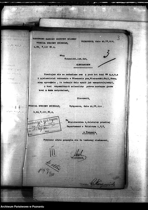 Obraz 7 z jednostki "Nosacizna - b. Kongresówka"