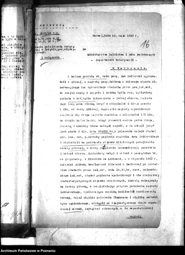 Obraz 20 z jednostki "Zaraza płucna - Międzychód"