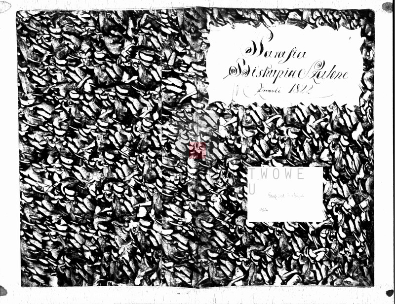 Obraz 1 z jednostki "Duplikat urodzonych"