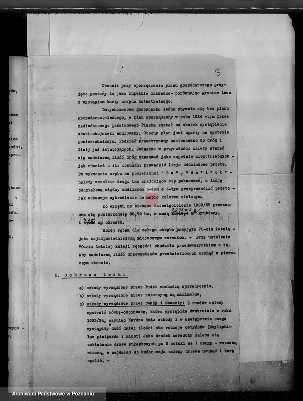 Obraz 7 z jednostki "/Nadzór nad gospodarką leśną w majętności Hutka w powiecie czarnkowskim"