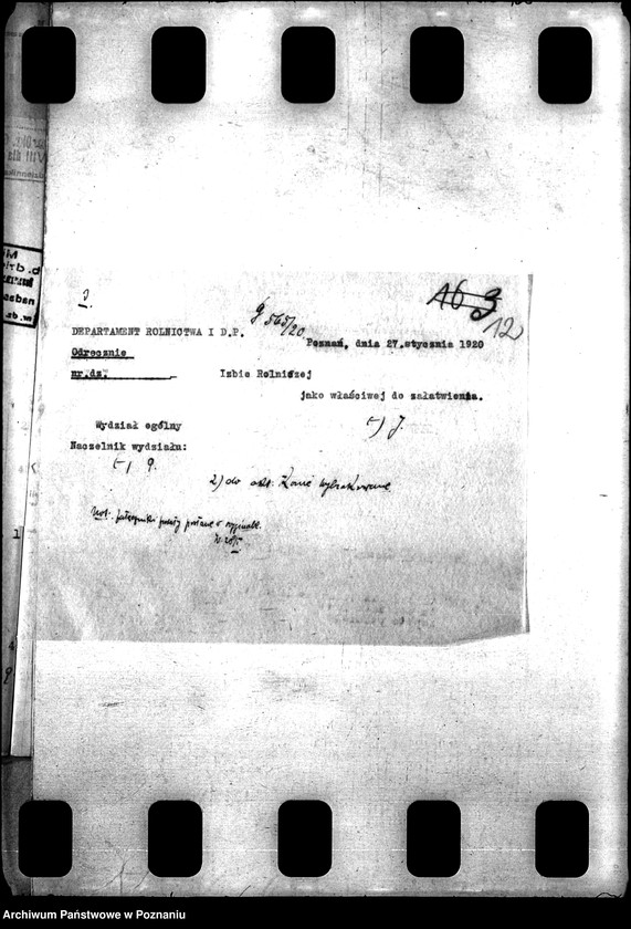 Obraz 16 z jednostki "Konie wojskowe dla ludności cywilnej"