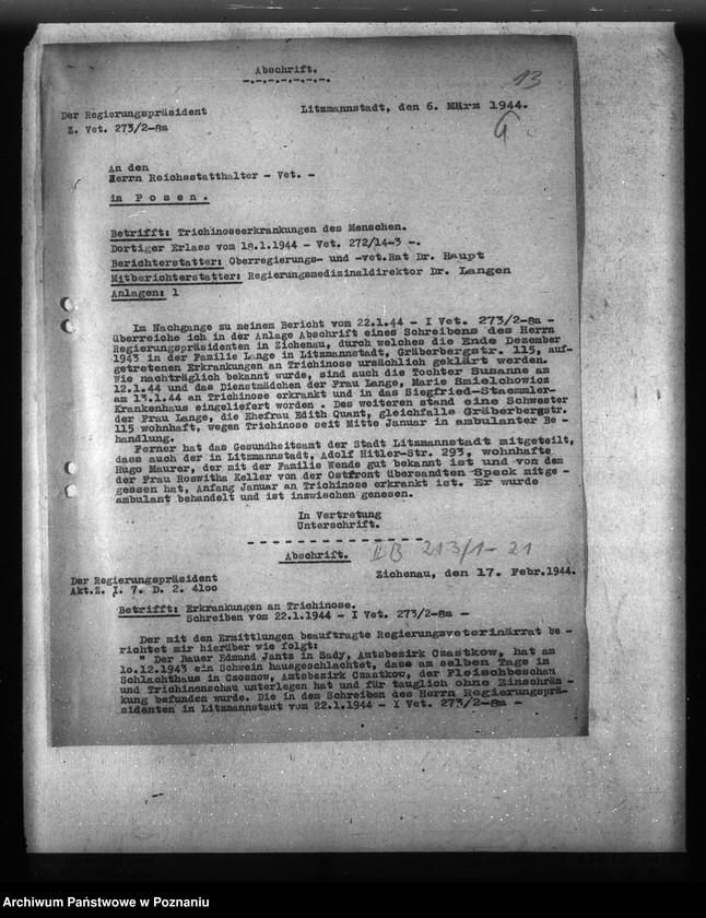 Obraz 17 z jednostki "Trichinose, Typhus"