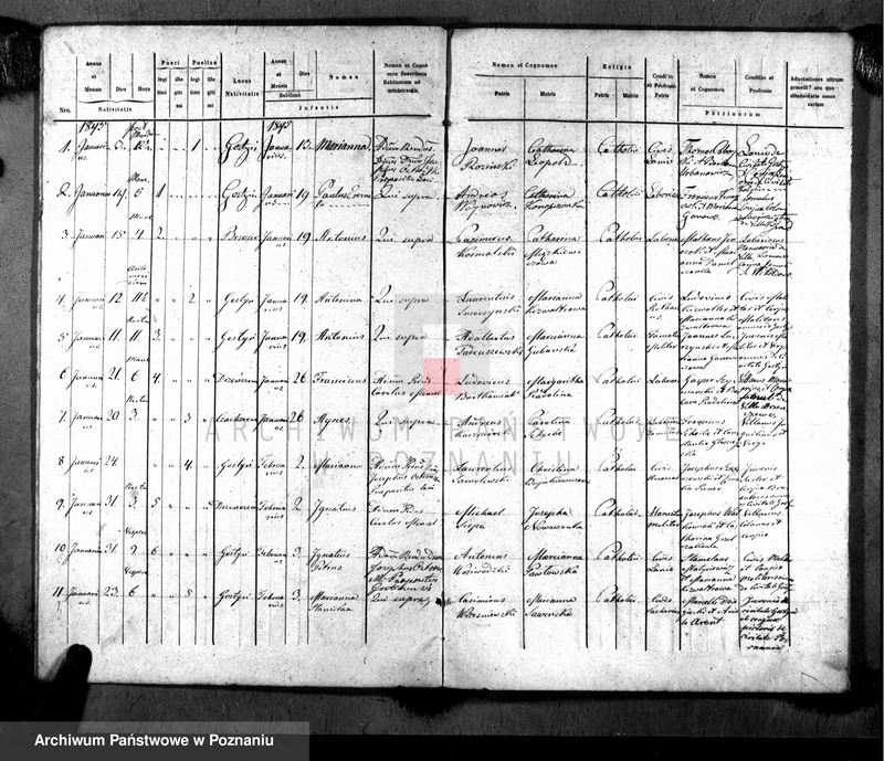 image.from.unit.number "Liber baptisatorum, copulatorum, mortuorum"