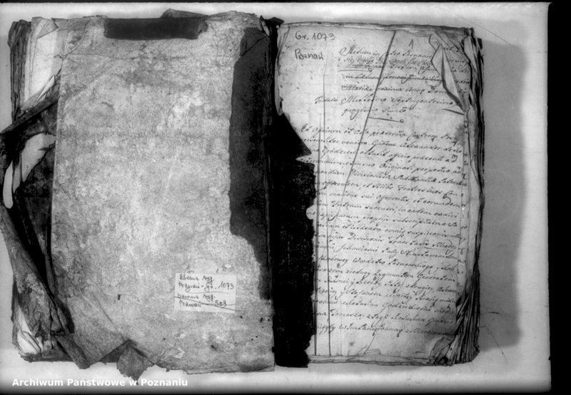 Obraz 3 z jednostki "Relationes [protocollon]"