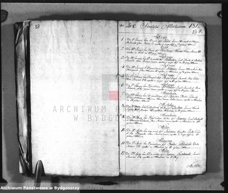 image.from.team "Akta metrykalne parafii rzymskokatolickiej w Wierzchucinie, pow. Bydgoszcz"