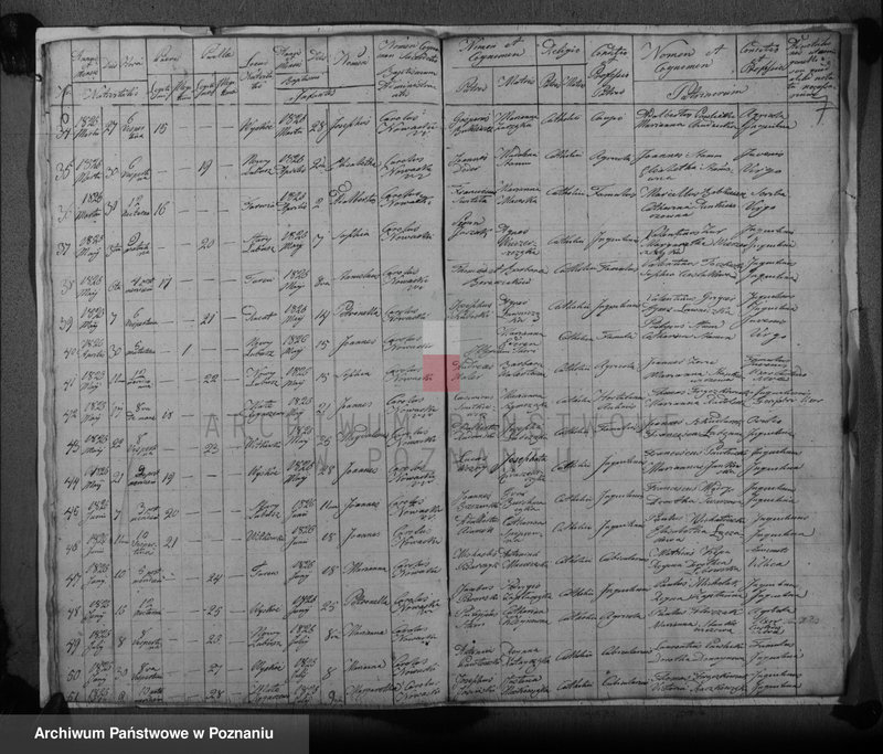 image.from.unit.number "Duplicat baptisatorum, copulatorum, mortuorum"