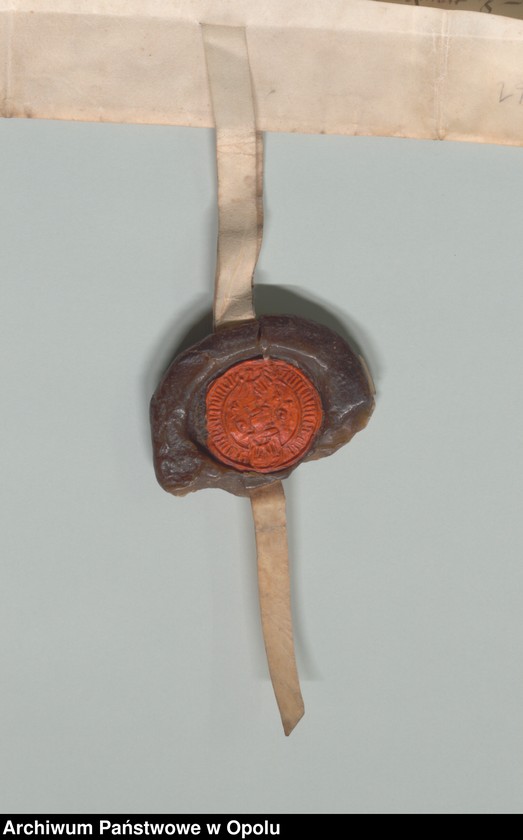 Obraz 4 z jednostki "Jan książę na Śląsku, Opolu, Głogówku etc. potwierdza tytuł własności Zygmunta Stoss