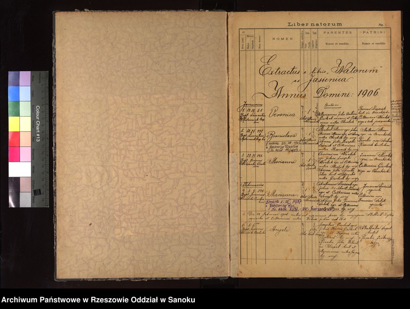 Obraz z jednostki "Księga urodzeń, małżeństw i zgonów dla miejscowości Jasienica, Orzechówka, Wola Jasienicka, Wola Orzechowska"