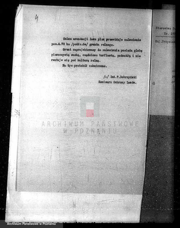 Obraz 8 z jednostki "Nadzór nad gospodarką w lasach majętności Przysieka powiecie gnieźnieńskim"