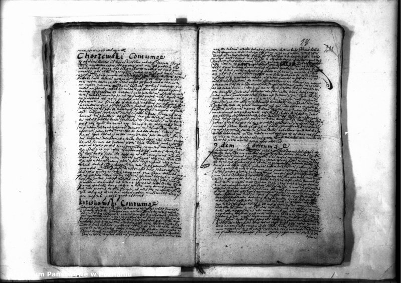 Obraz 20 z jednostki "Decreta iudicii [inducta]"