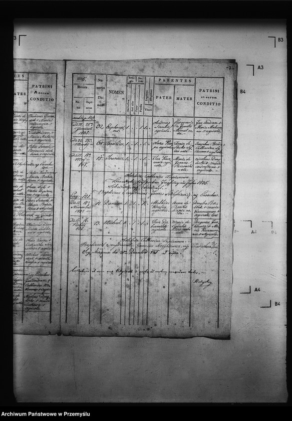 Obraz 11 z jednostki "[Kopie ksiąg metrykalnych parafii Miżyniec z filiami Gdeszyce, Zrotowice (dekanat Niżankowice)]"
