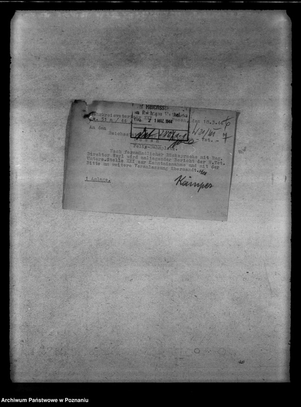 image.from.unit.number "Behandlung von Schlachtvieh. Tierschutz. Wissenschaftliche Versuche an lebenden Tieren"