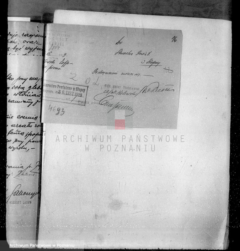 Obraz 19 z jednostki "Sprawa zmiany rodzaju użytkowania 14,42 ha gruntów leśnych w majątku Zalesie powiatu słupeckiego i zatwierdzenie planu gospodarczego"