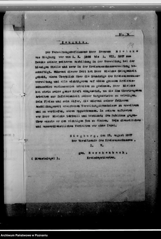 Obraz 18 z jednostki "Milke, Hermann, Verwaltungsangestellter"