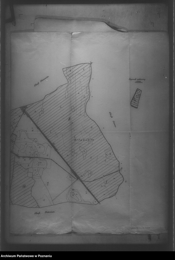 Obraz 9 z jednostki "/Mapy majętności Kotomierz powiatu bydgoskiego/"