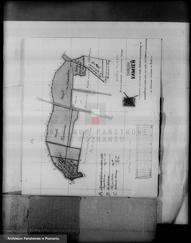 Obraz 17 z jednostki "Majątek Kamień powiat kaliski /sprawy leśne/"