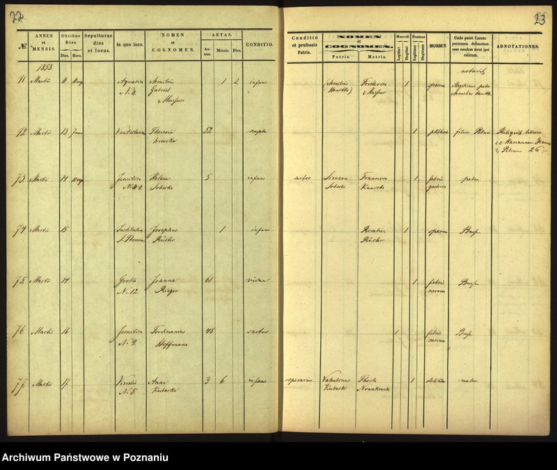 Obraz 14 z jednostki "Księga zgonów"