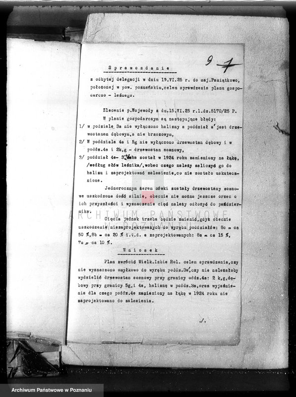 Obraz 15 z jednostki "Nadzór nad gospodarką w lasach majętności Pamiątkowo powiat obornicki"