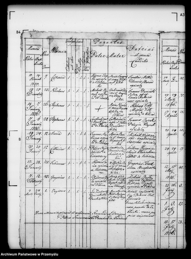 Obraz 8 z jednostki "[Kopie ksiąg metrykalnych parafii Wolica z filiami Bełchówka, Zboiska (dekanat Buków)]"