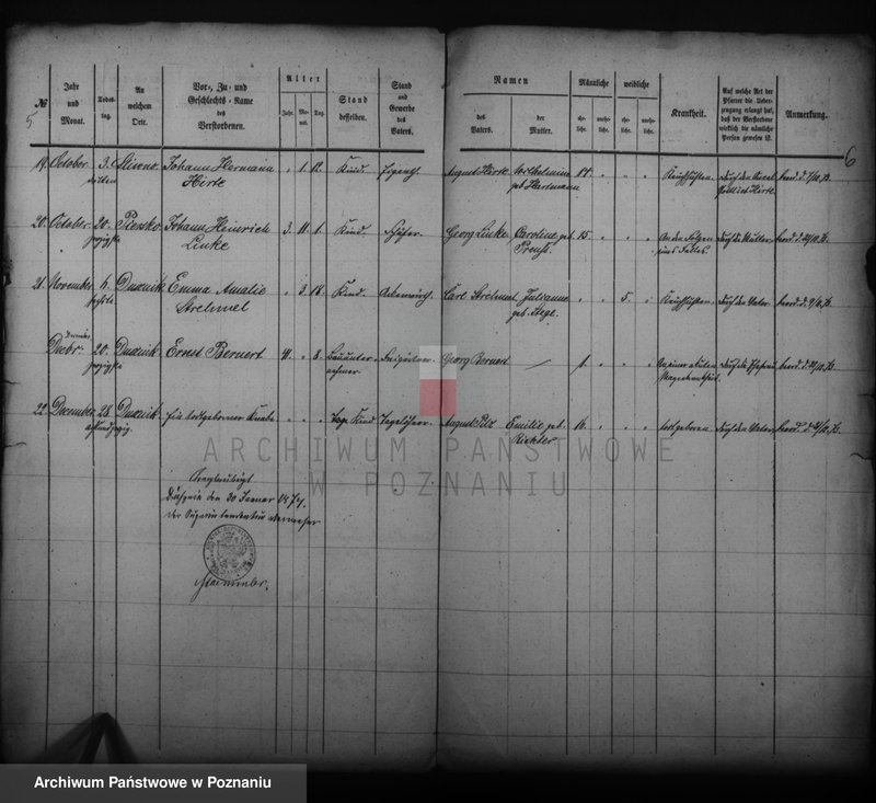 Obraz 4 z jednostki "Sterbe- Register"