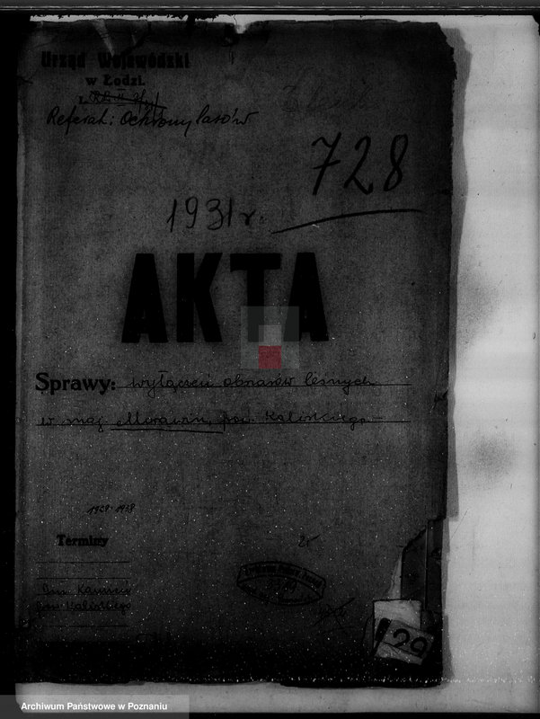 Obraz 4 z jednostki "Wyłączenie obszarów leśnych majątku Morawin powiat kaliski"