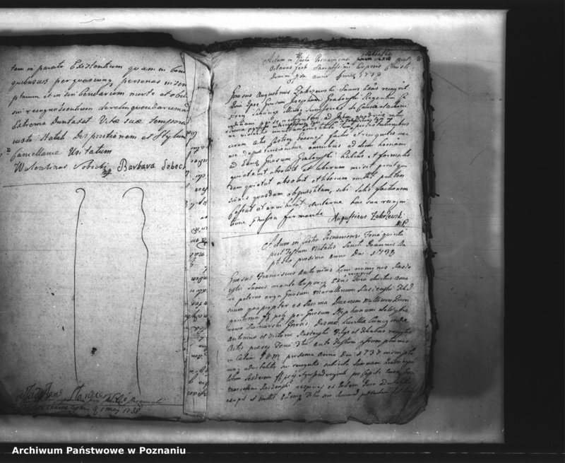 Obraz 11 z jednostki "Inscriptiones, resignationes [protocollon]"