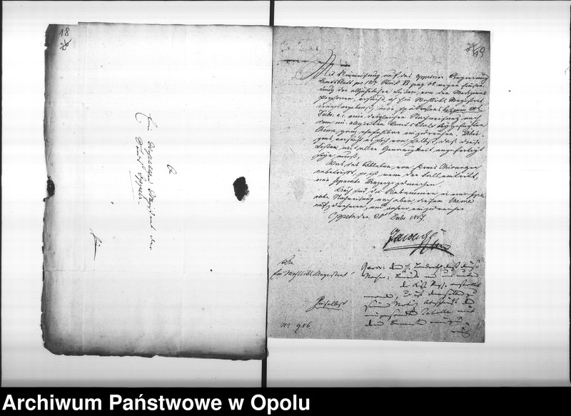 Obraz 17 z jednostki "Acta von Anfertigung und Einsendung der Nachweisungen des Medicinal Personals bey der Stadt Oppeln Vol. I pro 1817"