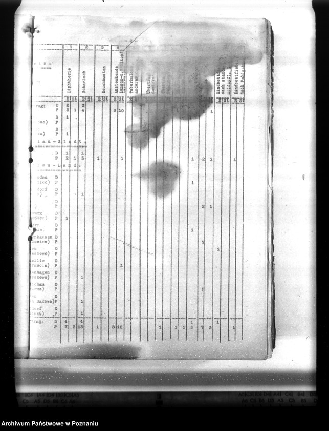 Obraz 16 z jednostki "Statistik der Krankheiten im Wartheland"