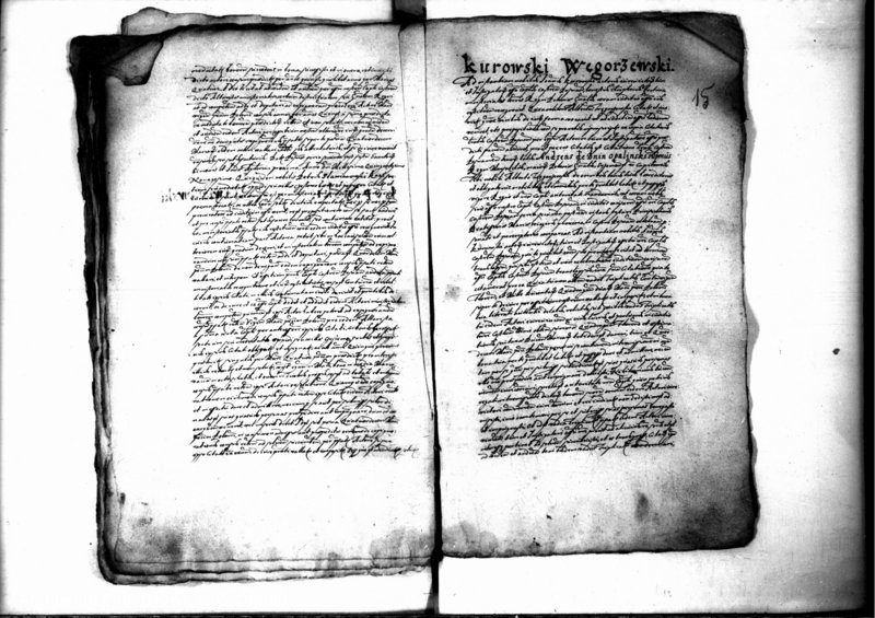 Obraz 17 z jednostki "Decreta iudicii [inducta]"