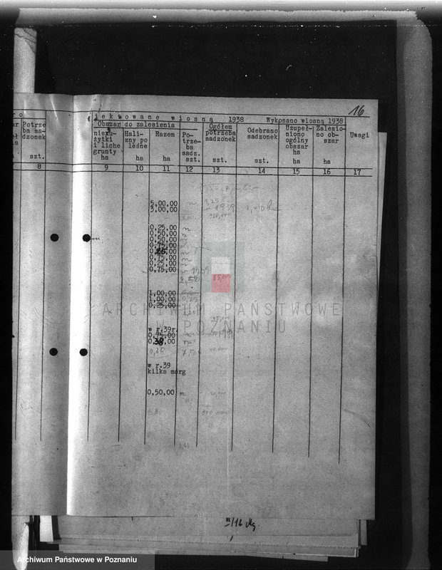 Obraz 20 z jednostki "Zalesienie nieużytków w powiecie mogileńskim"