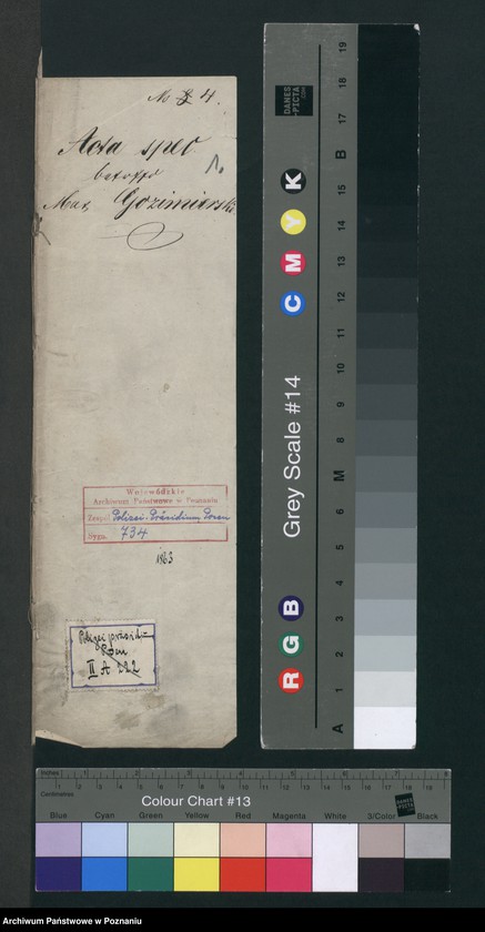 Obraz 4 z jednostki "A. betr. Max Gozimierski /auch über Erasmus von Blewczyński/"