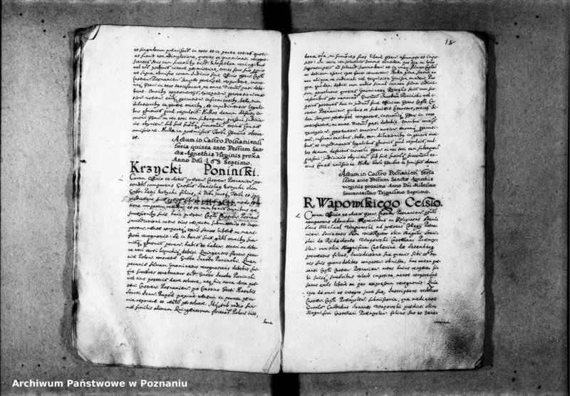 Obraz 20 z jednostki "Inscriptiones [inducta]"