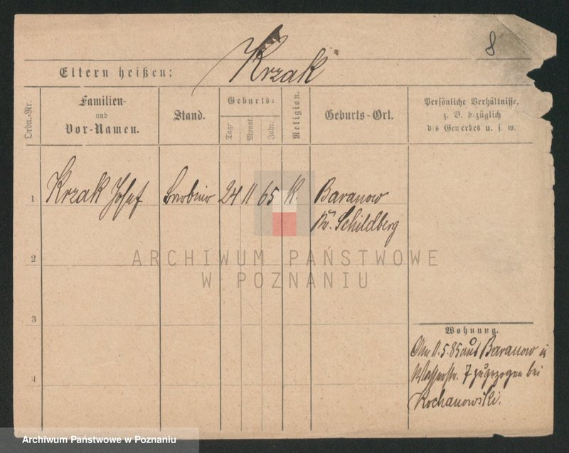 Obraz 8 z jednostki "Krzaczek - Krzyślak"