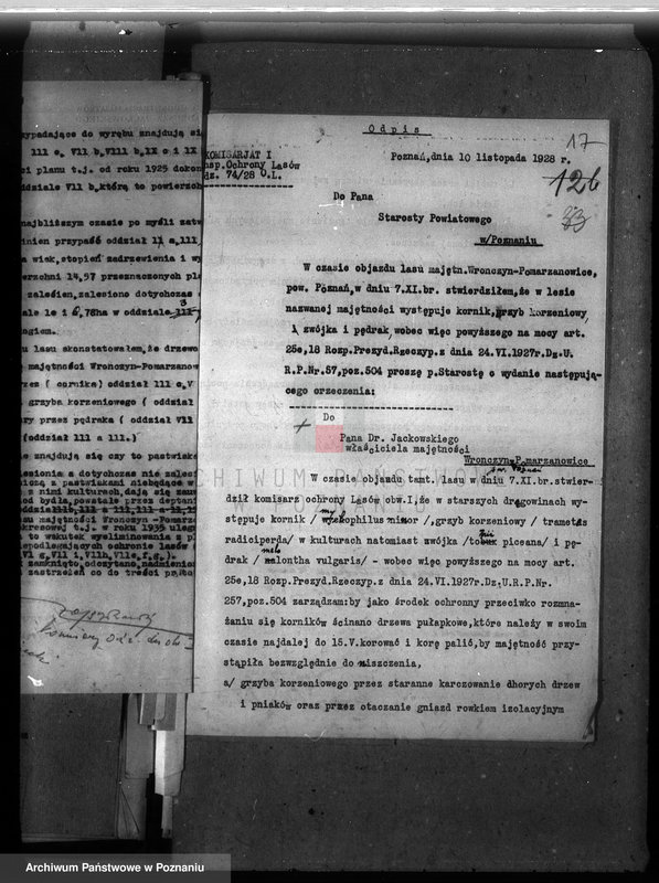 Obraz 20 z jednostki "Majętność leśna Wronczyn-Pomarzanowice powiat poznański"