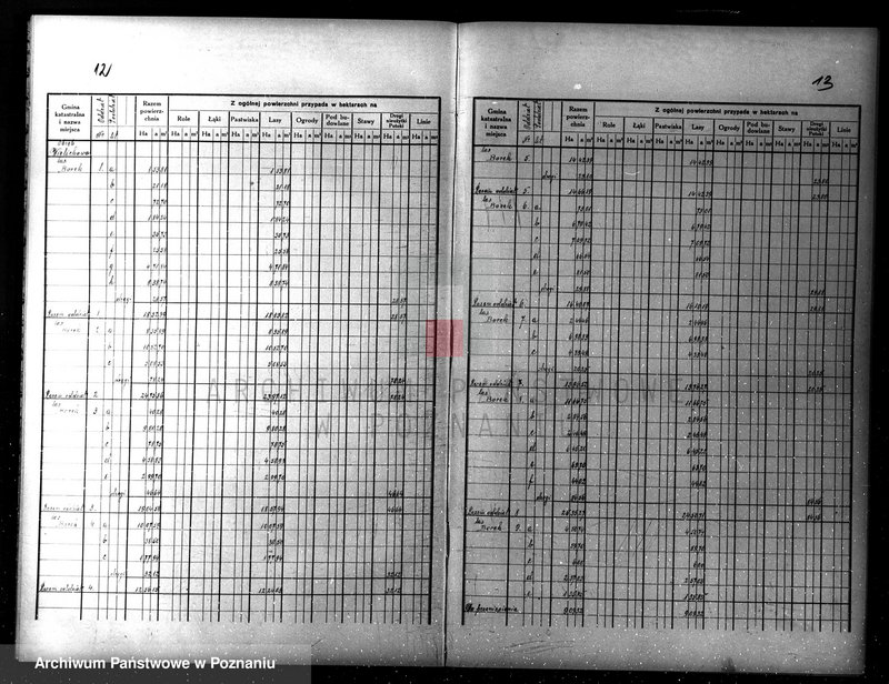Obraz 13 z jednostki "Plan gospodarczy lasów Wydziału Wielichowo Teresy ks. Lubomirskiej na dziesięciolecie 1935/36-1944/45"