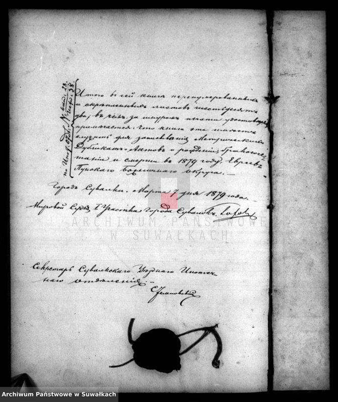 image.from.unit.number "Duplikat rodivšichsja, brakosočetavsichsja i umeršich Punskago evrejskago okruga za 1879 god"