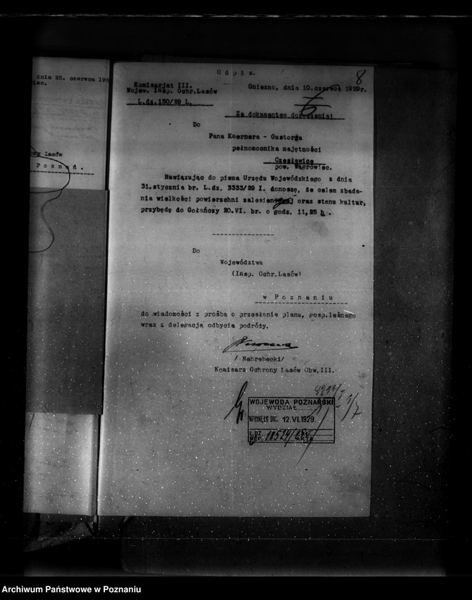 Obraz 13 z jednostki "Majętność leśna Czesławice powiat wągrowiecki własność Koerner"