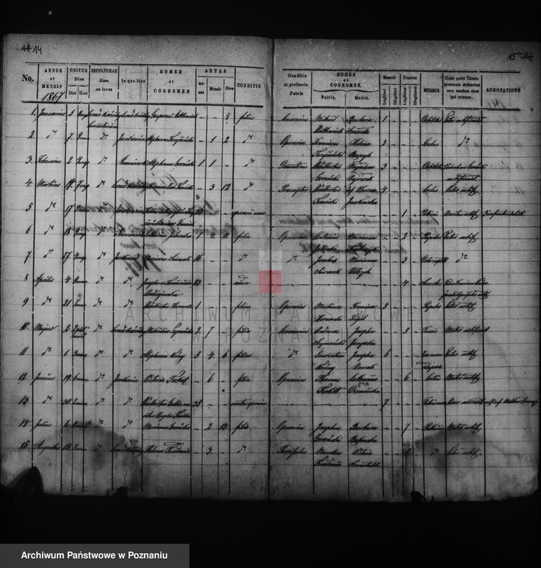 Obraz 11 z jednostki "Duplikat baptisatorum, copulatorum, mortuorum"