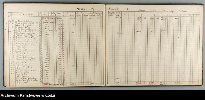 Obraz 7 z jednostki "Księga kasowa "