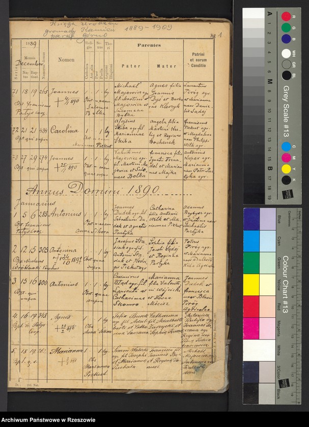 Obraz z jednostki "Księga urodzeń - Kamień"