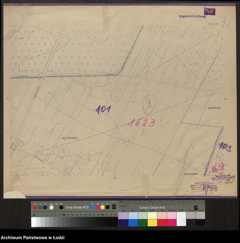 Obraz 1 z jednostki "Plan m. Łodzi 1:2000 z oznaczeniem podziału miasta na obwody i rejony spisowe. Sekcja NW95"